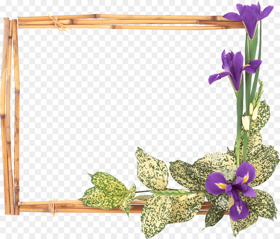 Floral Frame, Flower, Plant, Purple, Flower Arrangement Free Png Download