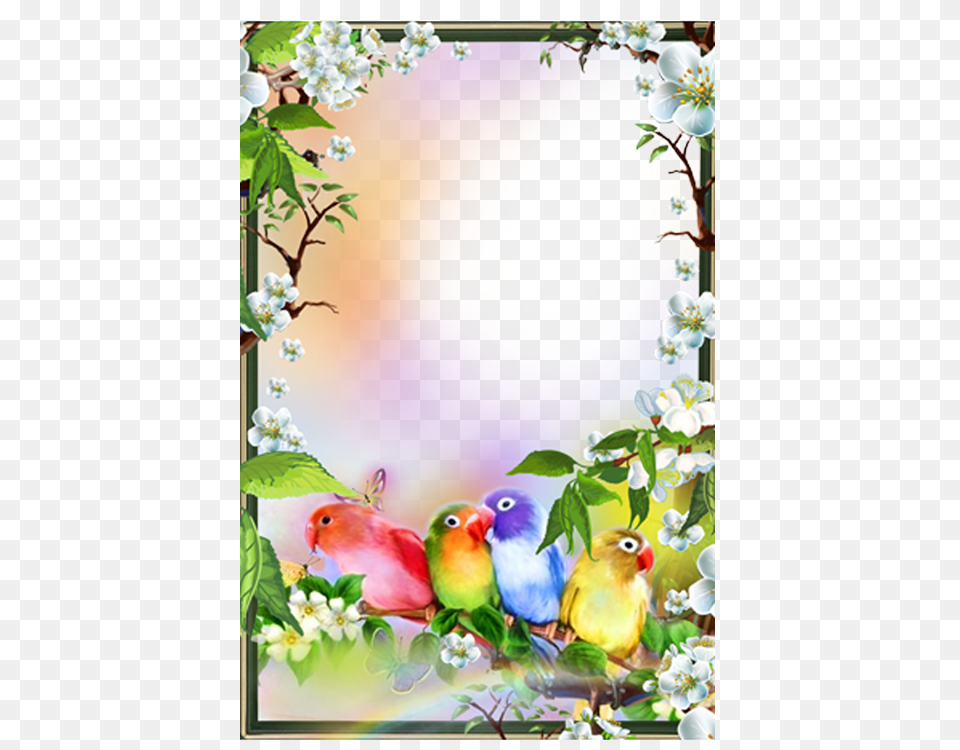 Floral Frame, Art, Collage, Plant, Flower Arrangement Png Image
