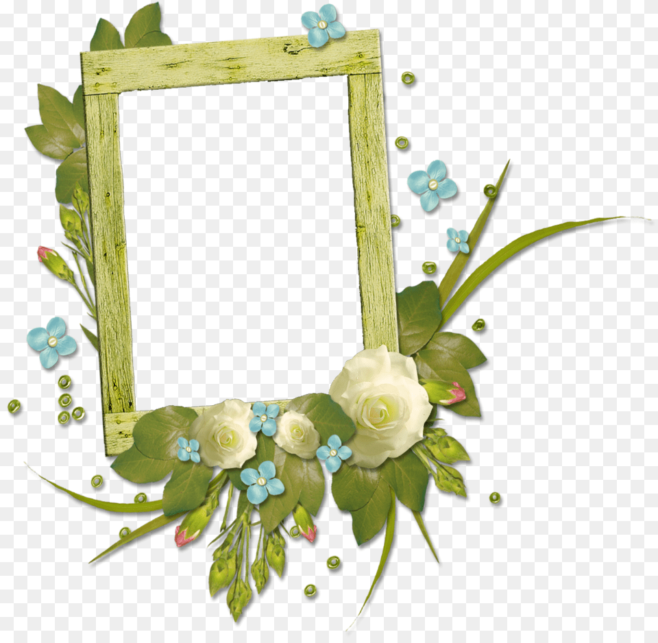 Floral Frame, Flower, Plant, Rose, Art Free Png
