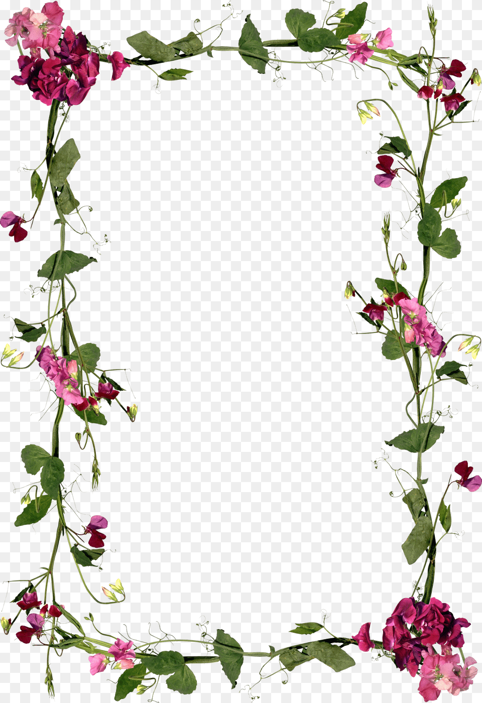 Floral Frame Free Transparent Png