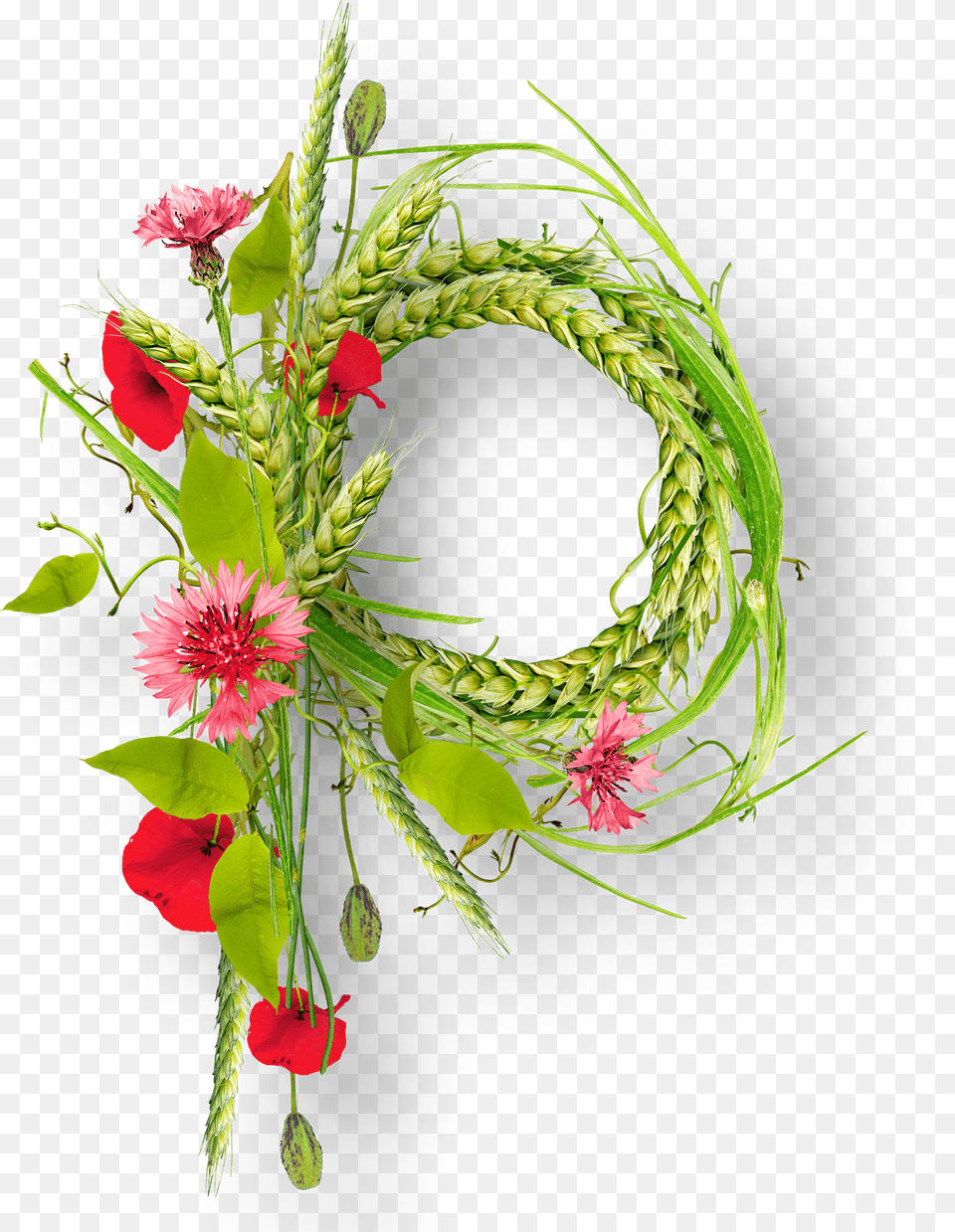 Floral Frame Free Transparent Png