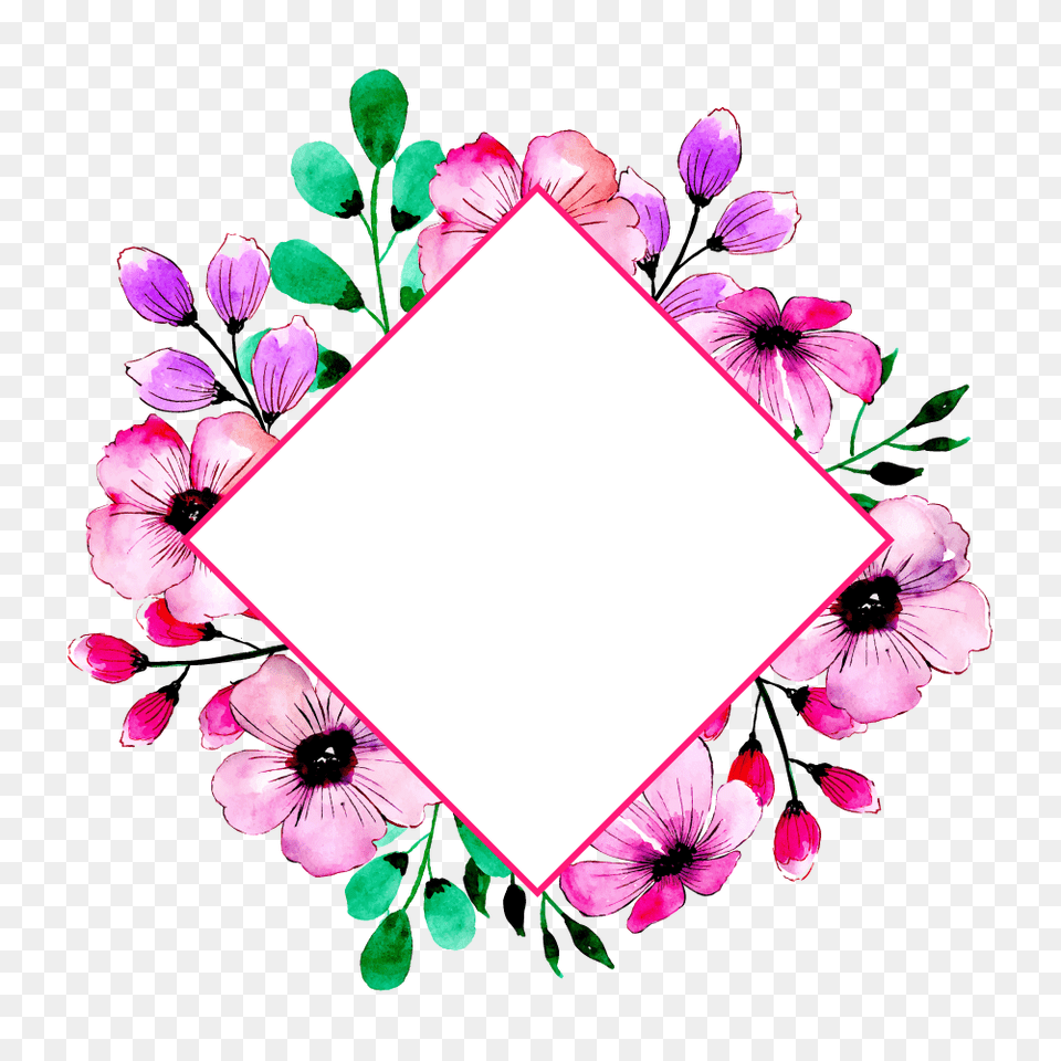 Floral Frame, Flower, Petal, Plant, Geranium Png Image