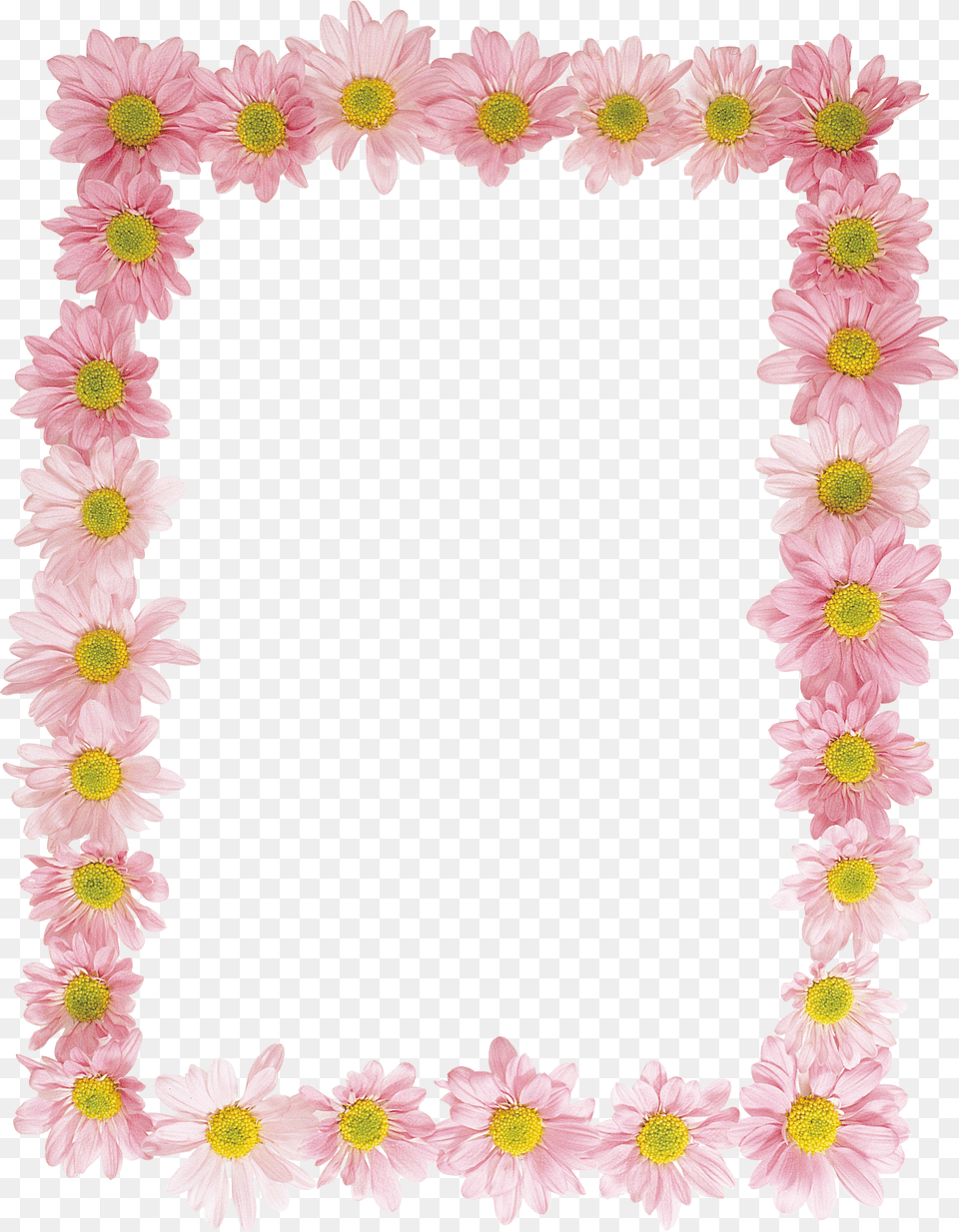 Floral Frame, Daisy, Flower, Flower Arrangement, Petal Free Png Download