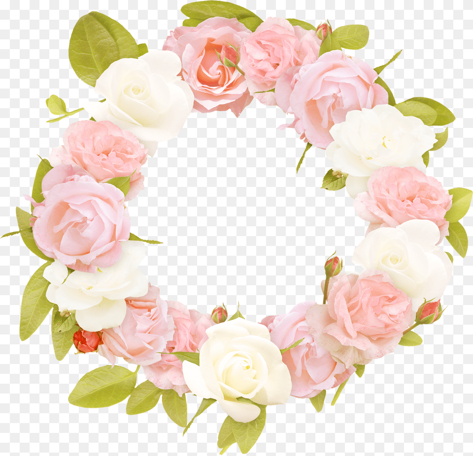 Floral Frame, Flower, Plant, Rose, Wreath Free Png Download