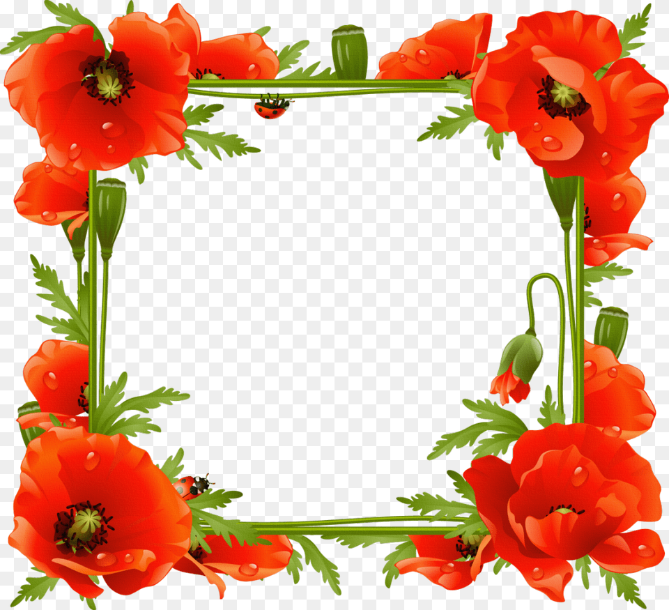 Floral Frame, Flower, Plant, Geranium, Poppy Free Png Download