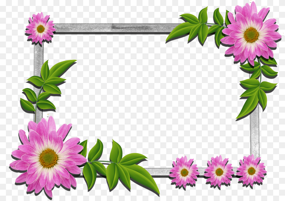 Floral Frame Png