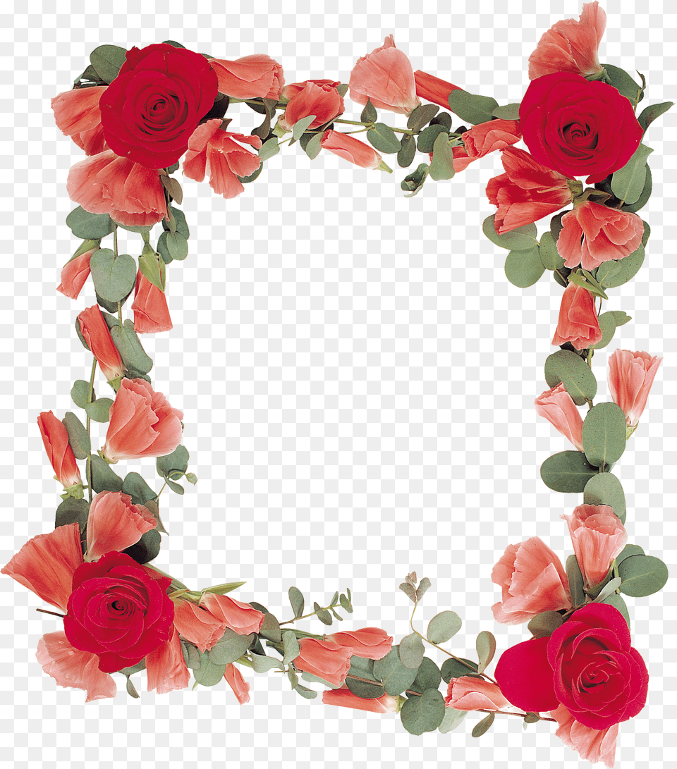 Floral Frame, Flower, Plant, Rose, Flower Arrangement Free Transparent Png