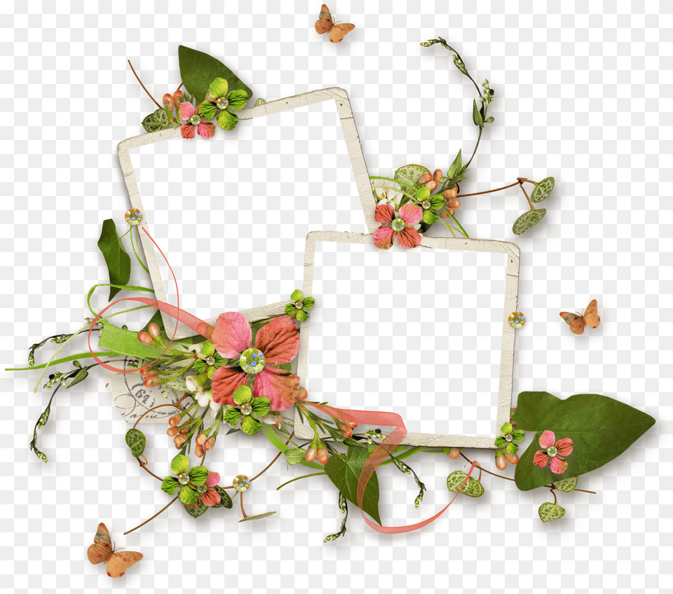 Floral Frame, Plant, Flower, Flower Arrangement, Flower Bouquet Free Png