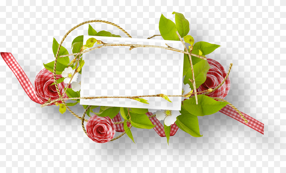 Floral Frame, Flower, Flower Arrangement, Plant, Rose Png Image