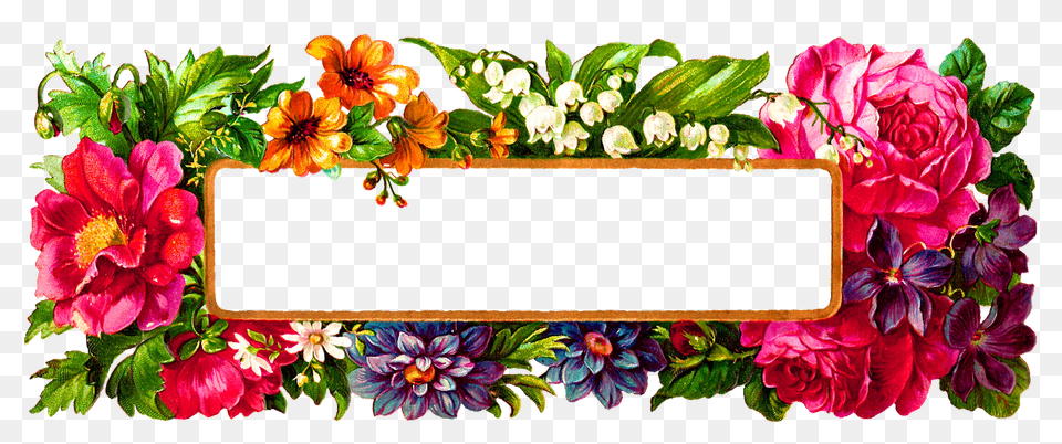 Floral Frame, Art, Graphics, Plant, Pattern Free Png