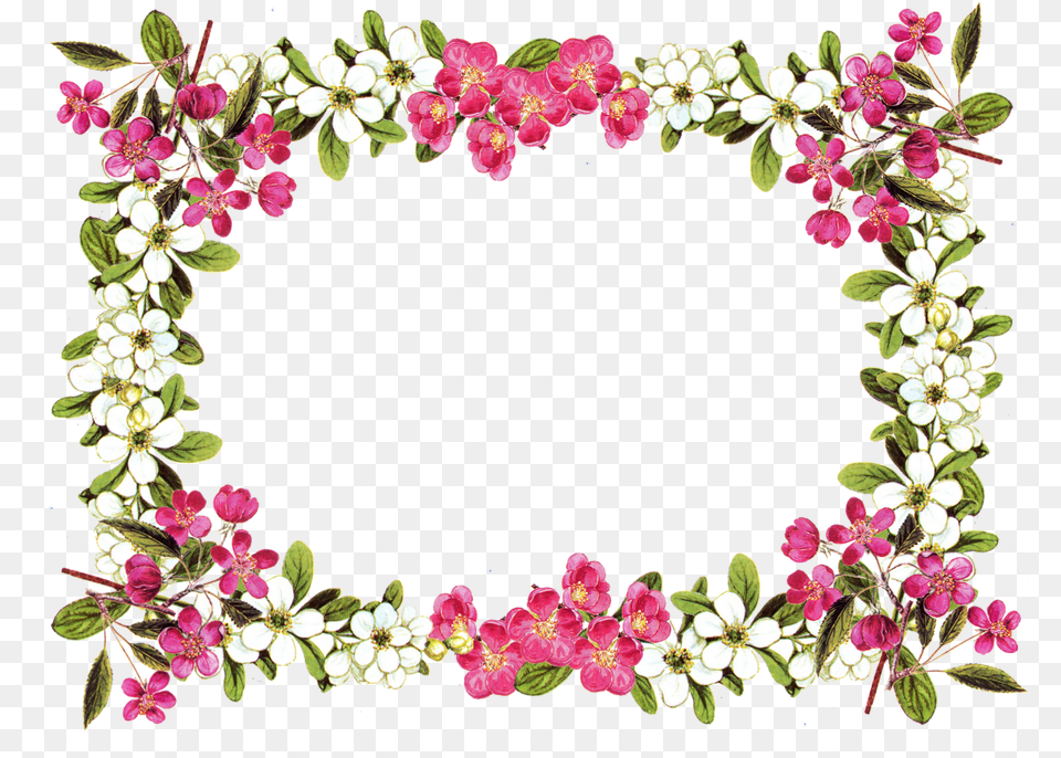 Floral Frame, Art, Floral Design, Graphics, Pattern Png Image