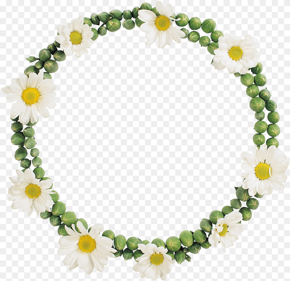 Floral Frame, Accessories, Flower, Plant, Jewelry Free Png