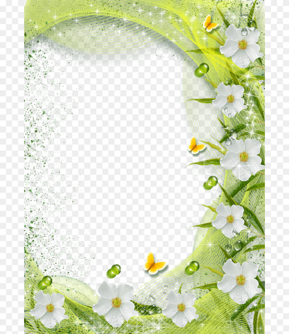 Floral Frame, Anemone, Plant, Green, Graphics Free Transparent Png