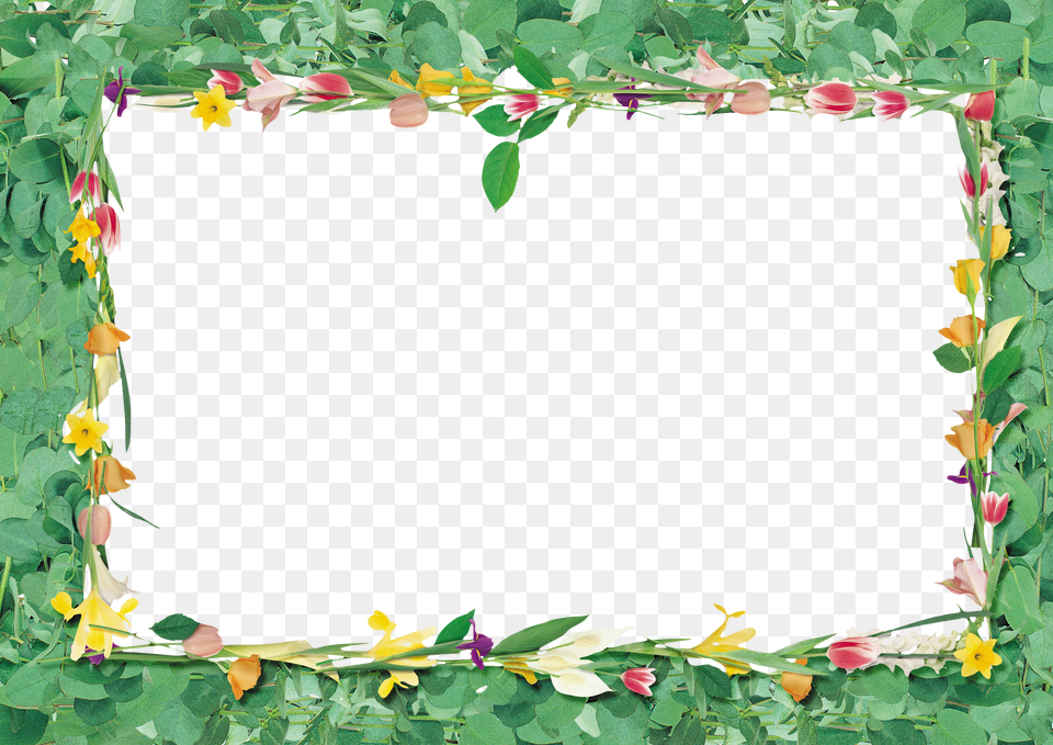 Floral Frame Free Png Download