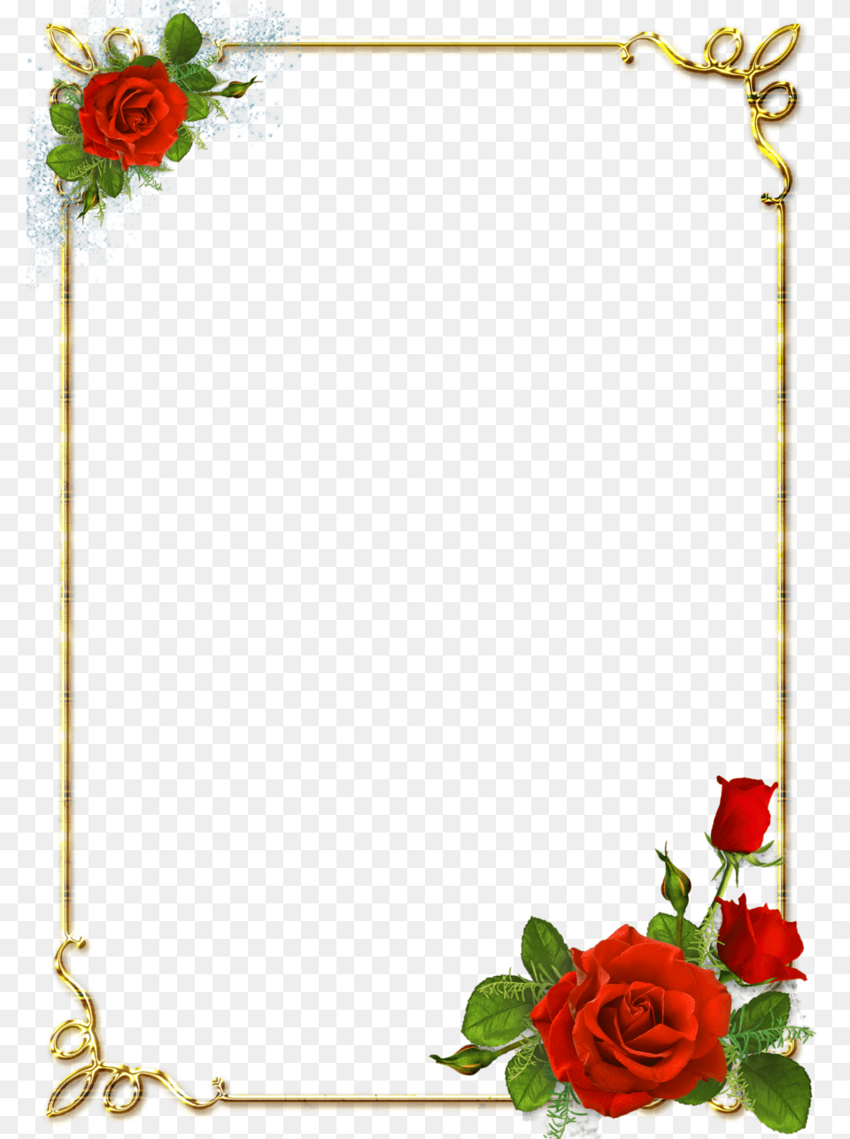 Floral Frame, Flower, Plant, Rose, Flower Arrangement Png Image