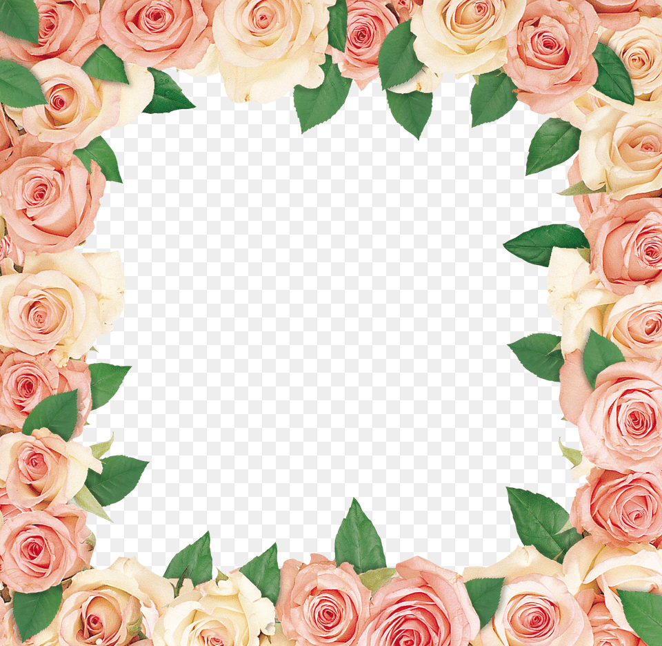 Floral Frame, Stencil, Electronics Png