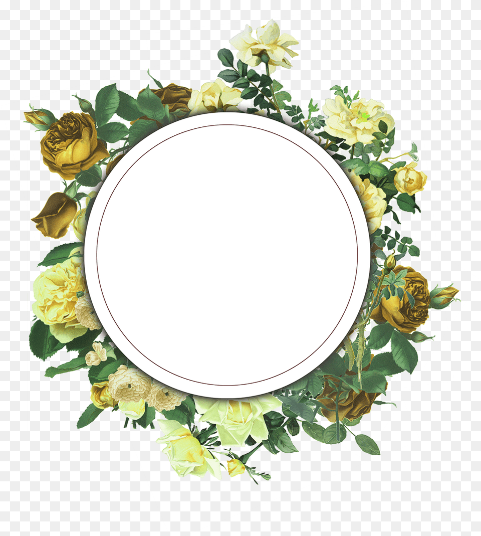 Floral Frame, Photography, Flower, Oval, Plant Free Png Download