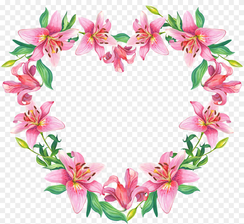 Floral Frame Png