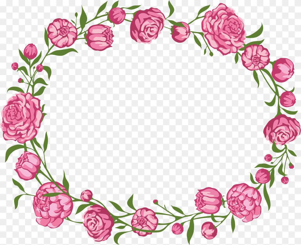 Floral Frame, Rose, Plant, Flower, Carnation Free Png Download
