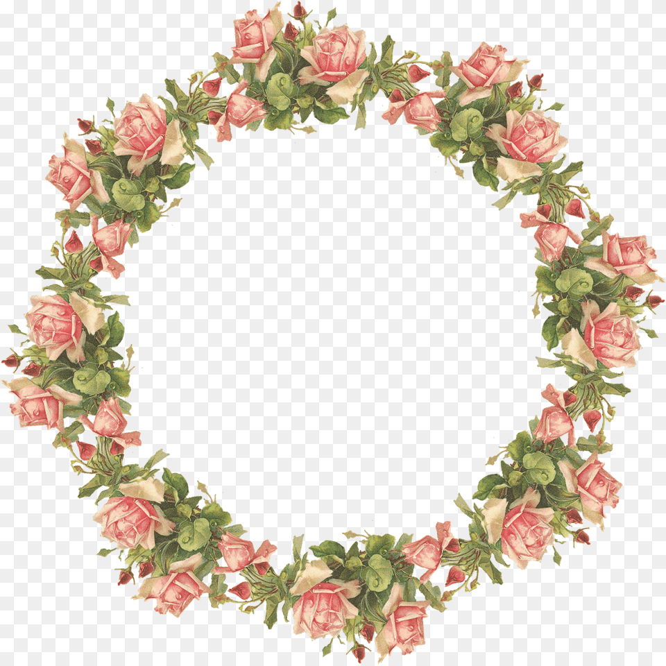 Floral Frame, Flower, Plant, Rose, Wreath Free Transparent Png