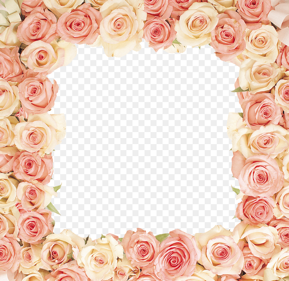 Floral Frame Png Image