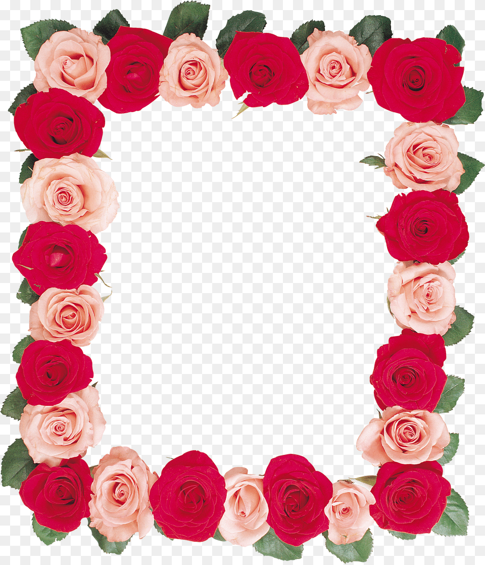 Floral Frame Png Image