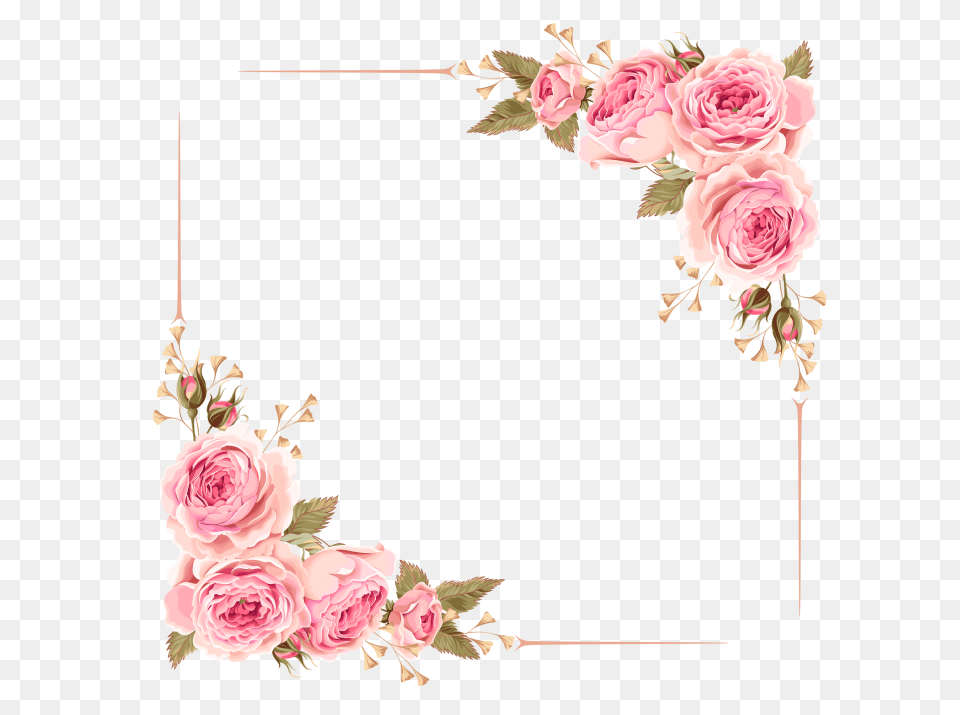 Floral Frame, Flower, Plant, Rose, Art Free Png Download