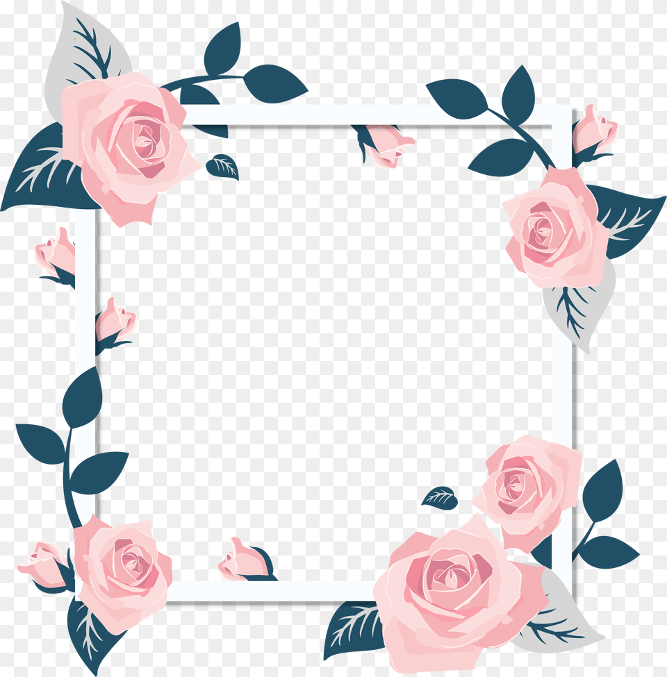 Floral Frame, Flower, Plant, Rose, Art Png