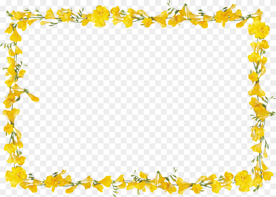 Floral Frame, Flower, Petal, Plant, Daffodil Png