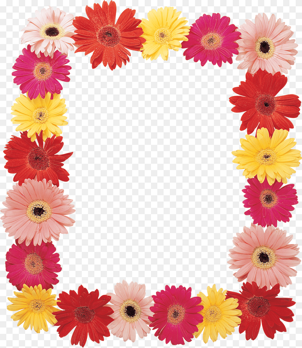 Floral Frame Png Image