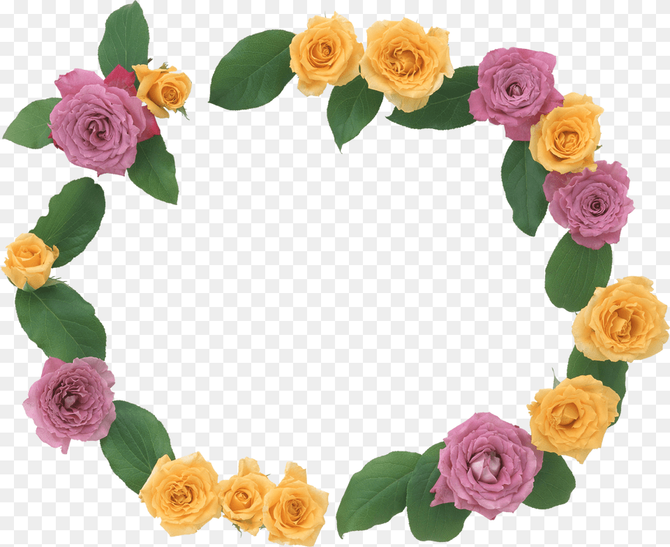 Floral Frame, Flower, Plant, Rose, Flower Arrangement Free Transparent Png
