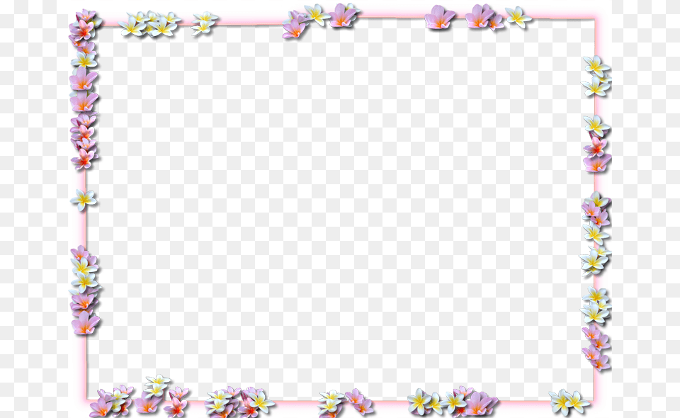 Floral Frame, Flower, Petal, Plant, Flower Arrangement Png Image