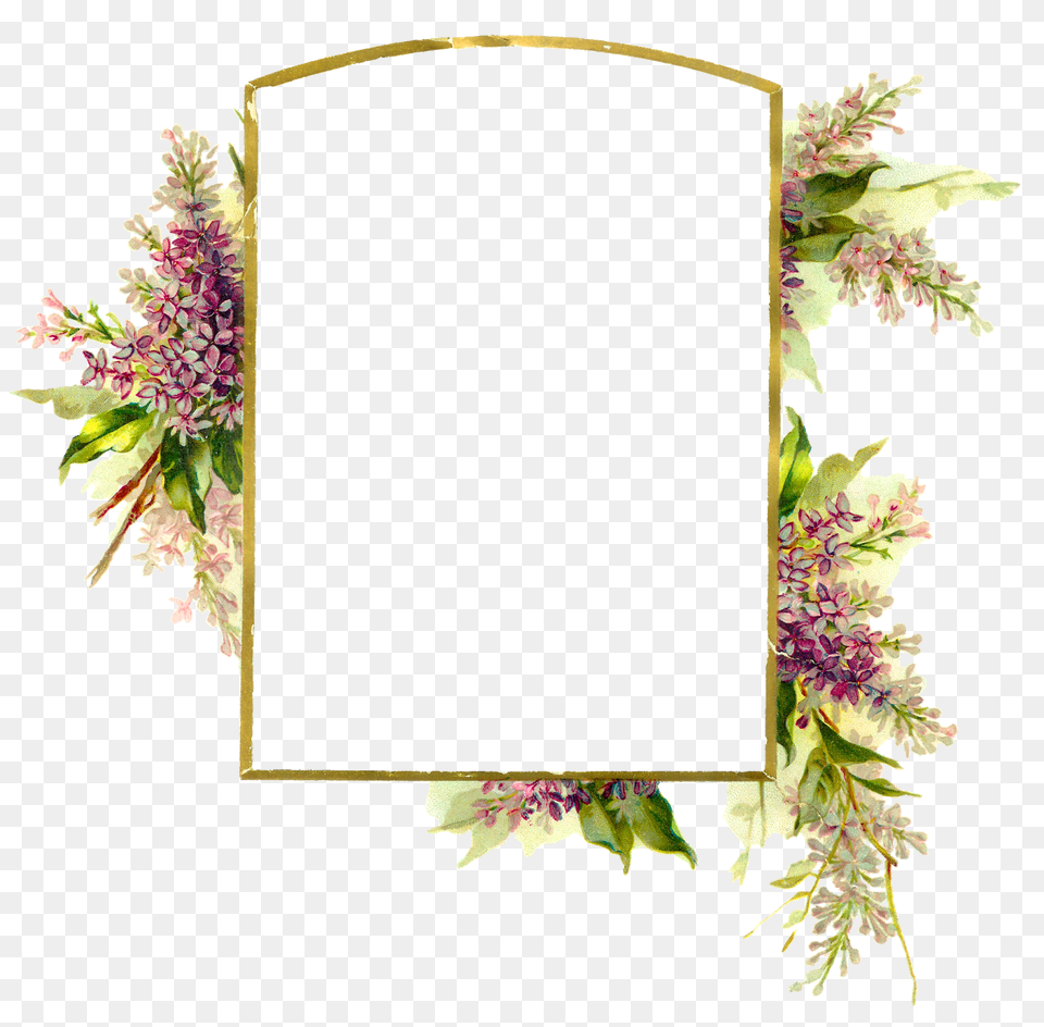 Floral Frame, Flower, Plant, Flower Arrangement, White Board Free Png Download