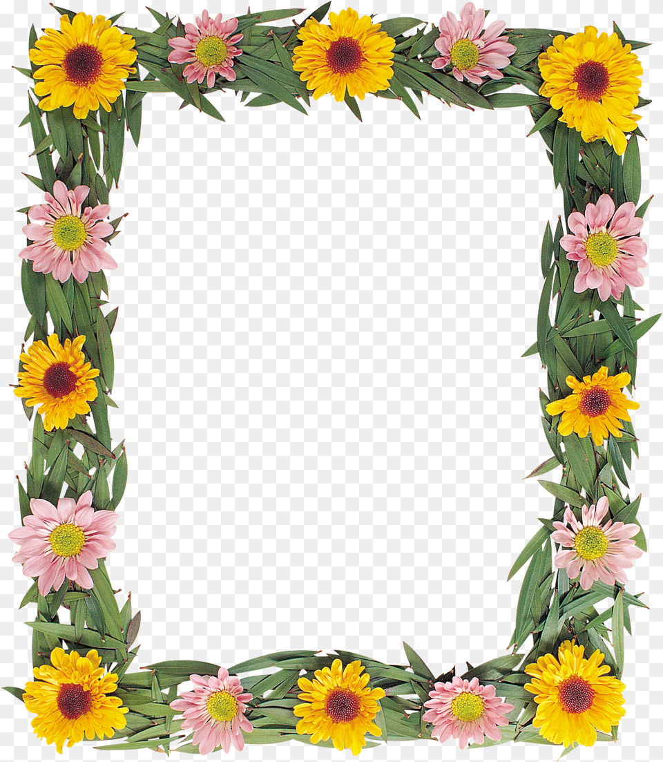 Floral Frame, Flower, Plant, Sunflower Free Png Download