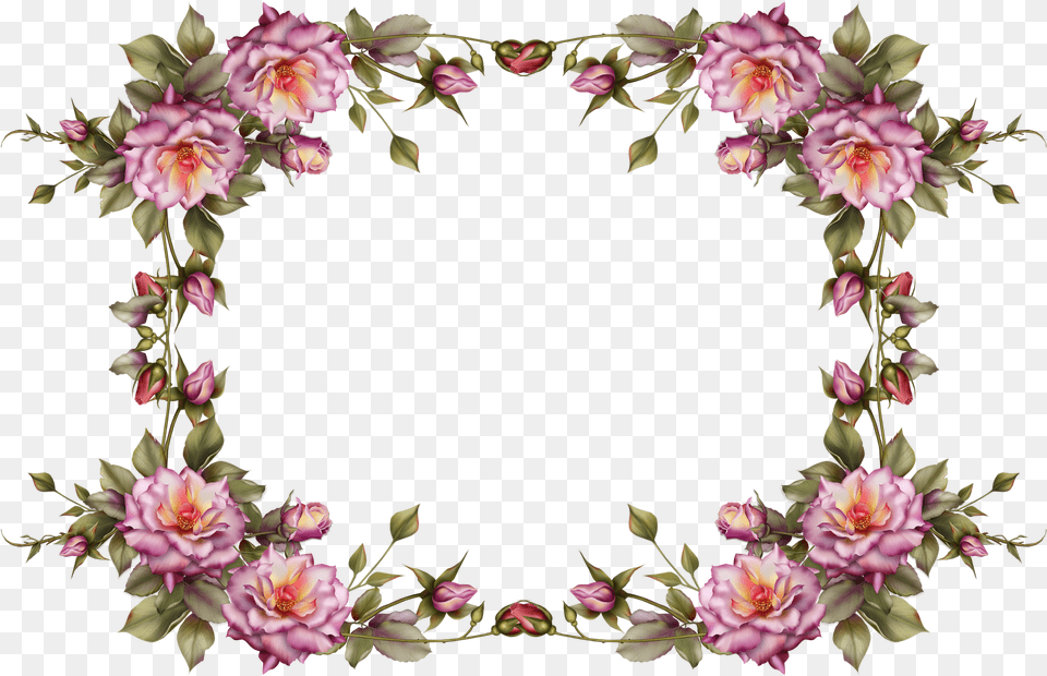 Floral Frame, Flower, Flower Arrangement, Plant, Dahlia Free Png
