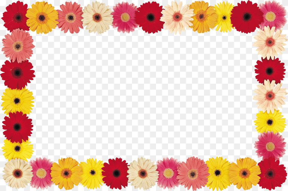 Floral Frame Png Image