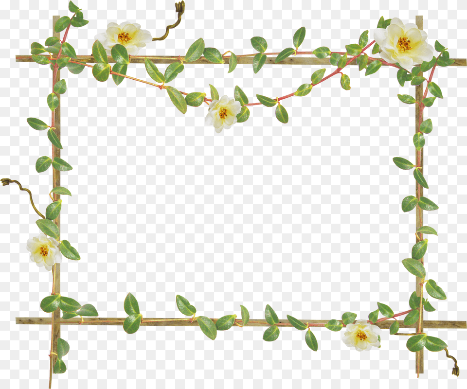 Floral Frame, Art, Collage, Flower, Plant Png Image