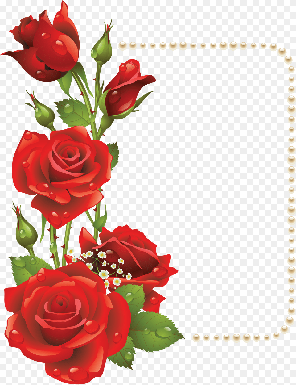Floral Frame, Rose, Plant, Flower, Pattern Free Png Download