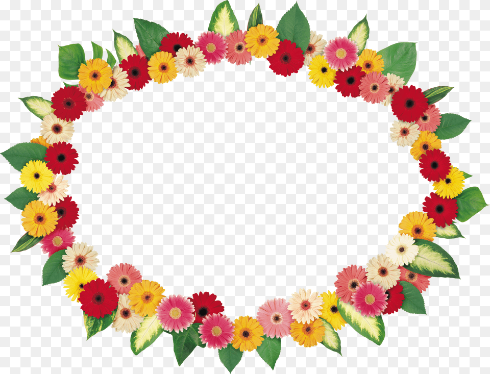 Floral Frame, Accessories, Diamond, Gemstone, Jewelry Png