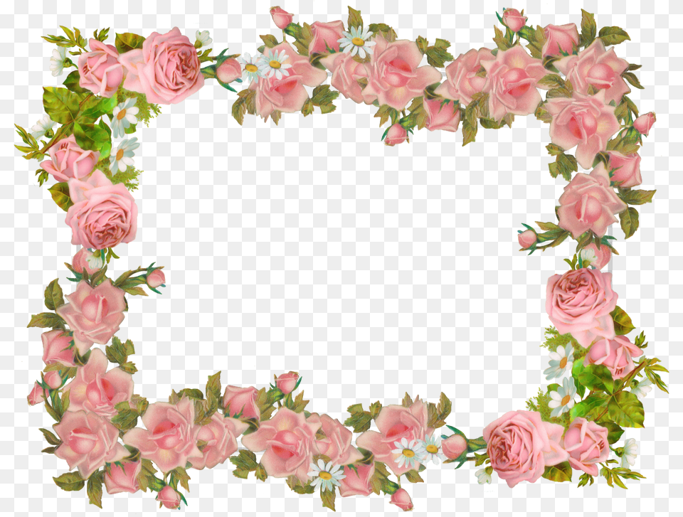 Floral Frame, Flower, Flower Arrangement, Plant, Rose Free Transparent Png
