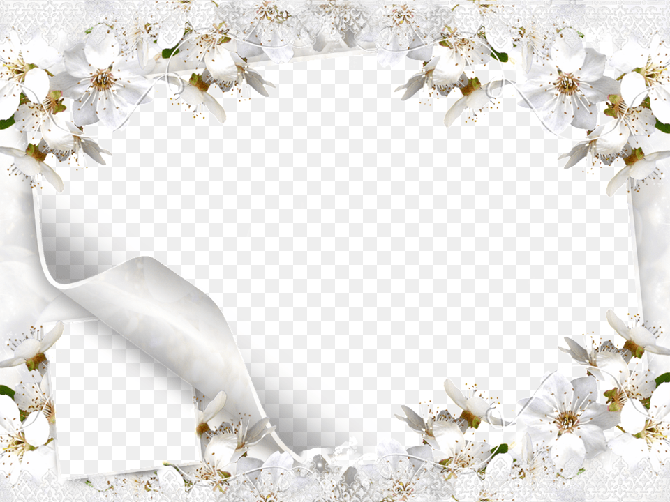 Floral Frame, People, Person, Flower, Plant Free Transparent Png