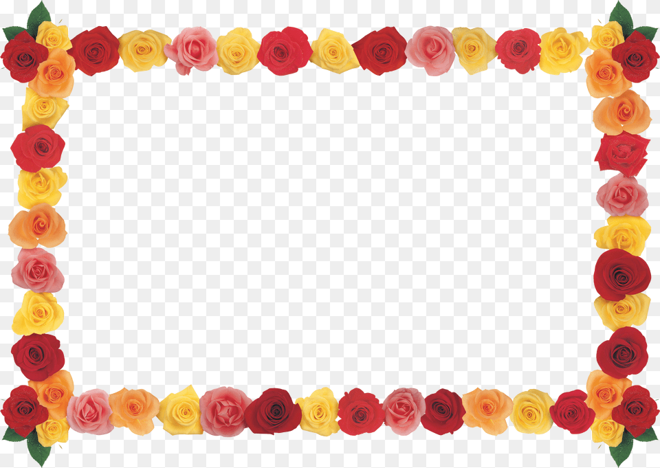 Floral Frame, Flower, Plant, Rose, Petal Free Transparent Png