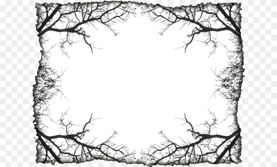 Floral Frame Konfest, Silhouette, Nature, Outdoors, Sky Free Transparent Png