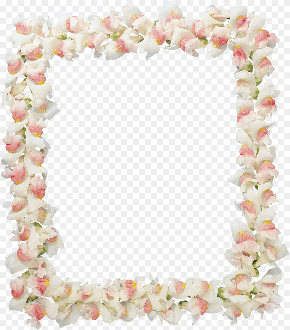 Floral Frame Picture Frame, Accessories, Flower, Flower Arrangement, Ornament Free Png