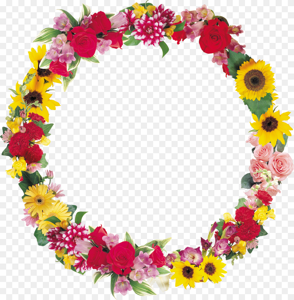 Floral Frame Portable Network Graphics Png Image