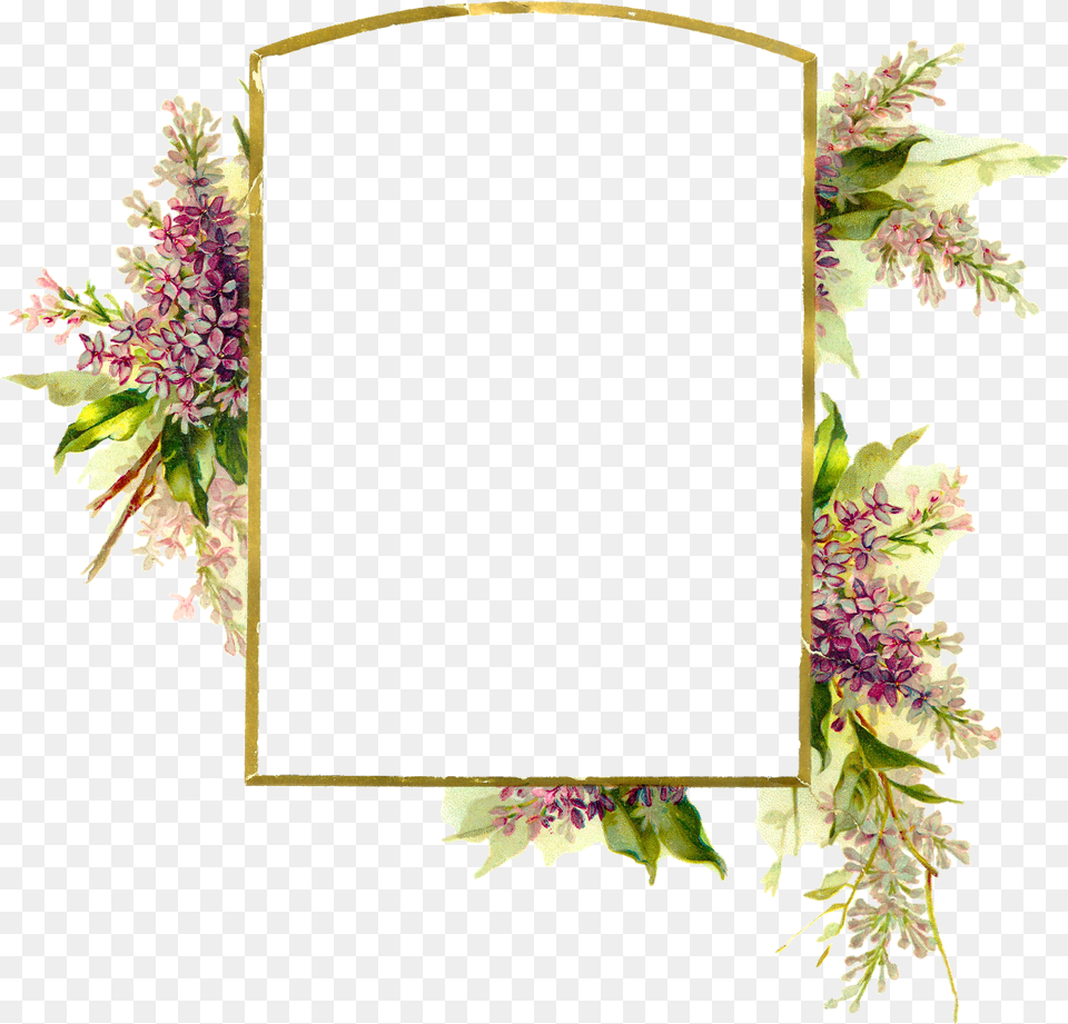 Floral Frame Transparent Background Floral Frame, Plant, Flower Arrangement, Flower, Floral Design Png Image