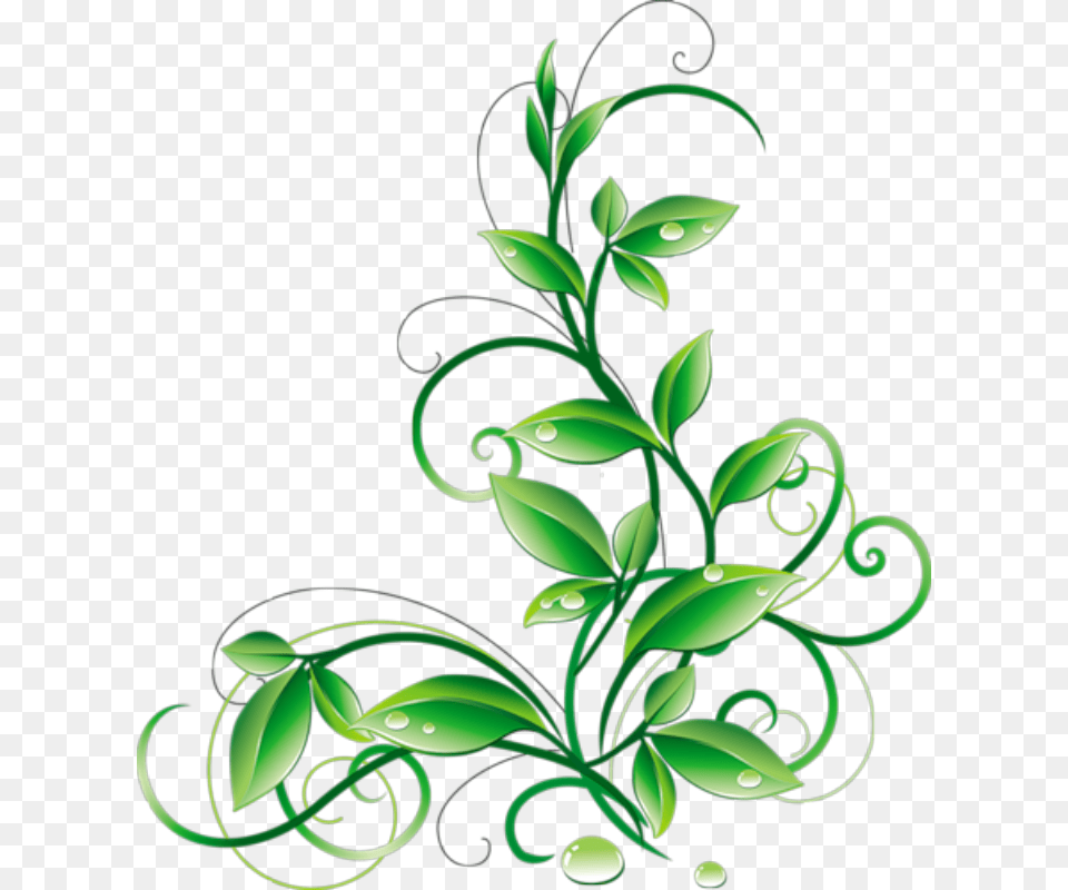 Floral Green Leaves And Water Droplets Clipart Green Flowers, Art, Floral Design, Graphics, Pattern Free Transparent Png
