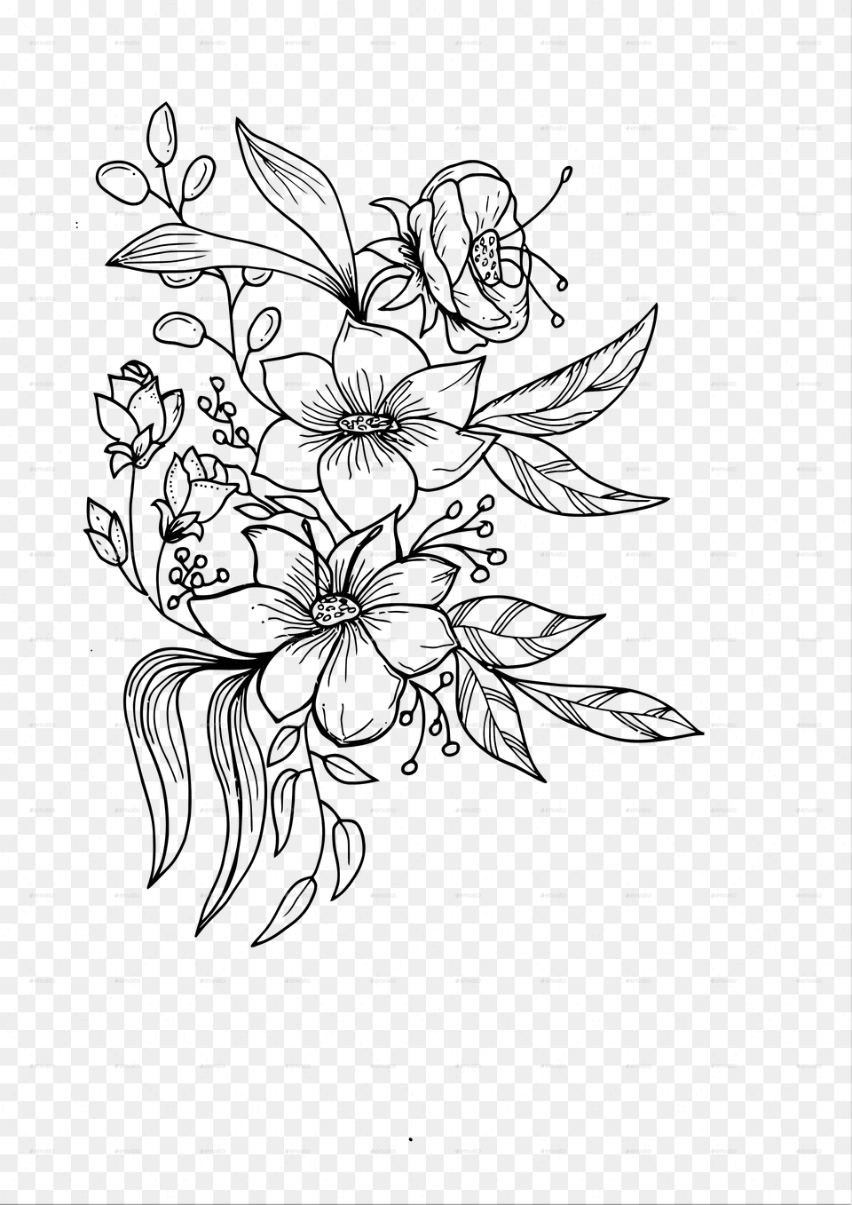 Floral Hand Drawn, Black Free Png Download