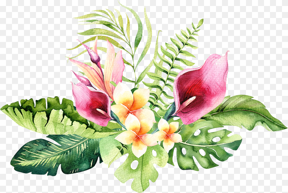Floral Hand Drawn Watercolor Tropical Flower Transparent Background Tropical Flowers, Flower Arrangement, Flower Bouquet, Plant, Leaf Free Png