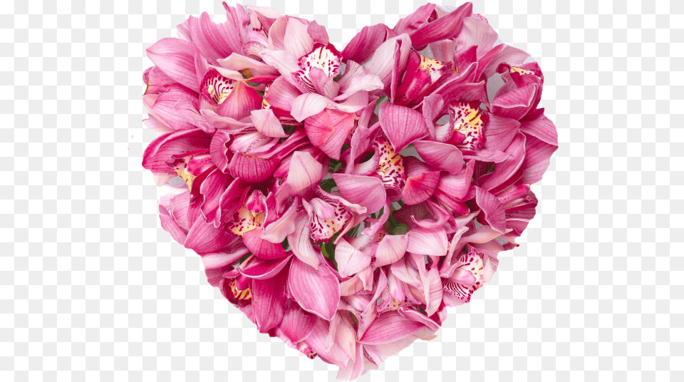 Floral Heart, Dahlia, Flower, Flower Arrangement, Flower Bouquet Png